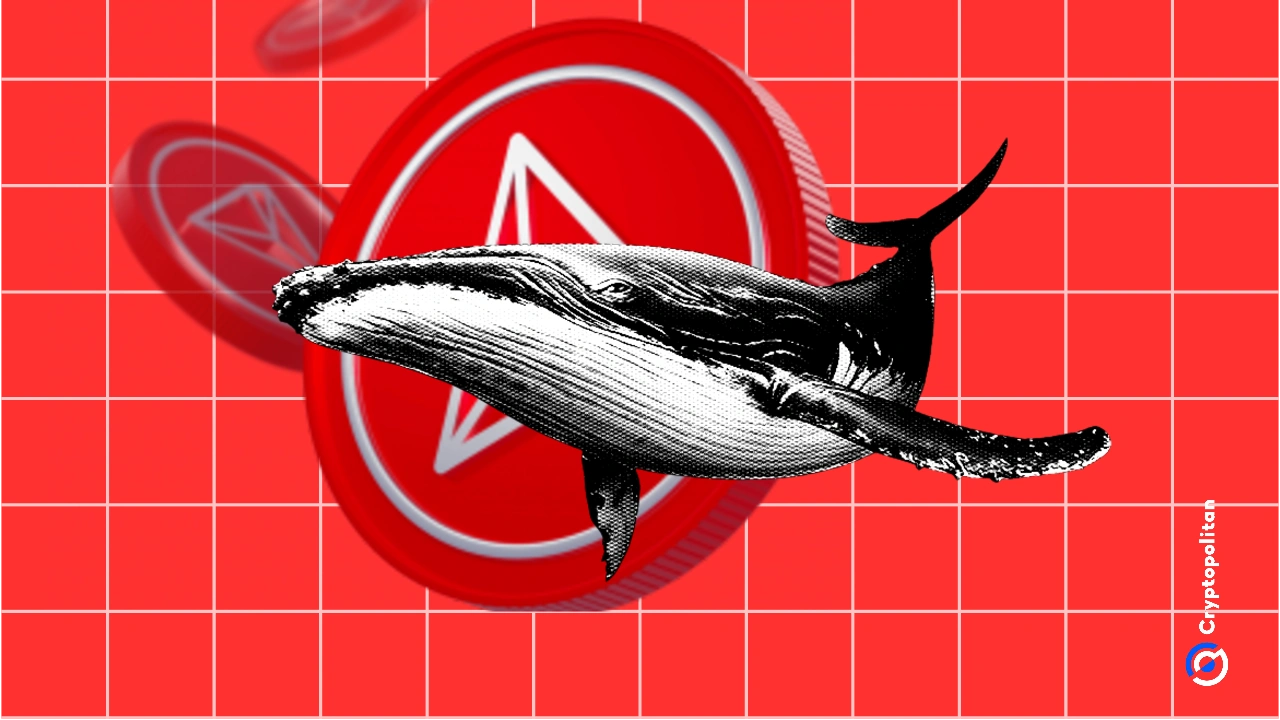 在过去的一年中,贷款成为TRON(TRX)的主要价值来源