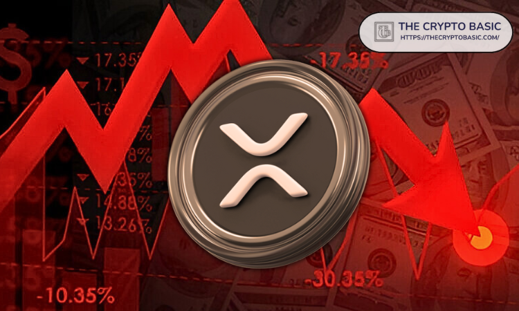 XRP的低谷:专家在研究伪造后分享下一个支持者