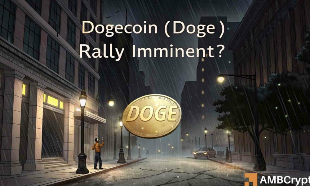 狗狗币暴跌 20% 但有 3 个信号预示着大行情将临!