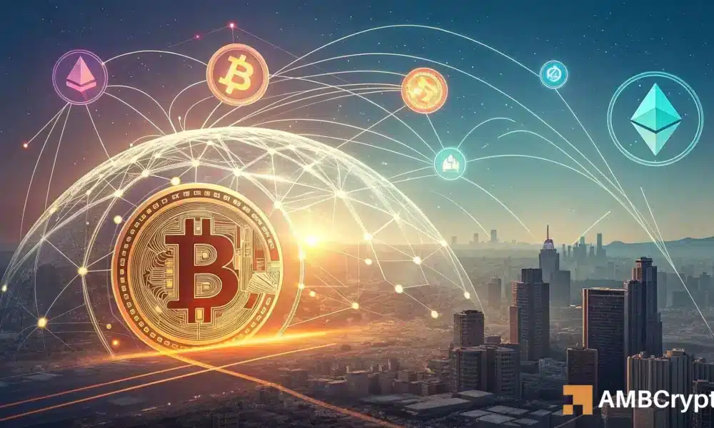 比特币:从山寨币投资者的角度探究对比特币交易费的影响